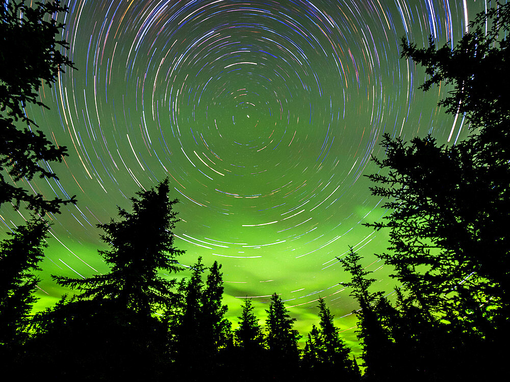 Long exposure astrophotography showing the stars and the northern lights in Denali National Park, Alaska, United States of America, North America