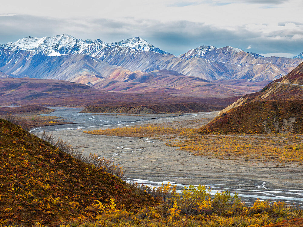 Fall color change amongst the trees and shrubs in Polychrome Pass in Denali National Park, Alaska, United States of America, North America