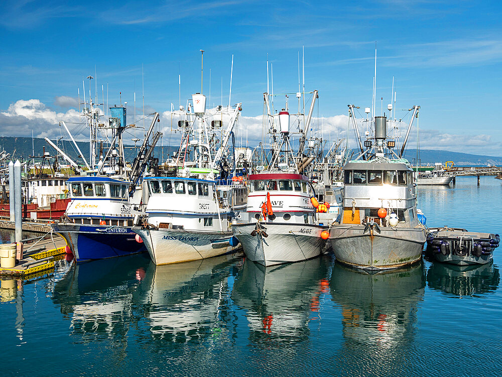 Commercial fishing boats of all kinds and sizes in Homer Harbor in Kachemak Bay, Kenai Peninsula, Alaska, United States of America, North America