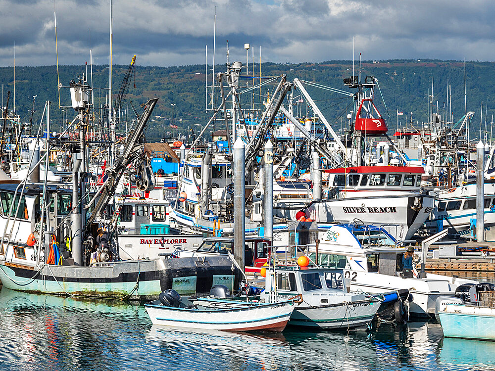 Commercial fishing boats of all kinds and sizes in Homer Harbor in Kachemak Bay, Kenai Peninsula, Alaska, United States of America, North America