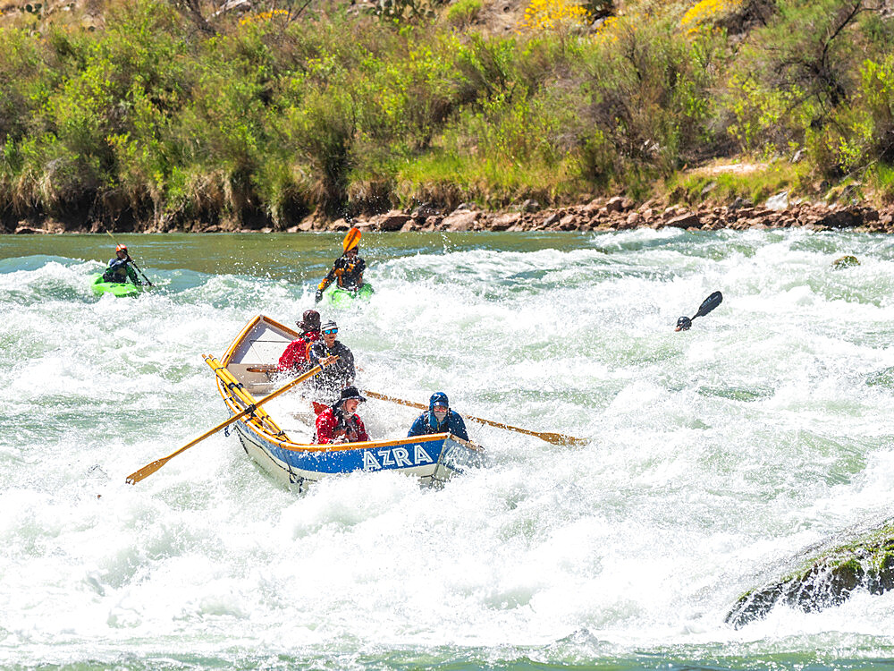 Commercial dory runs the Deubendorff Rapid, just past river mile 132, Grand Canyon National Park, Arizona, United States of America, North America