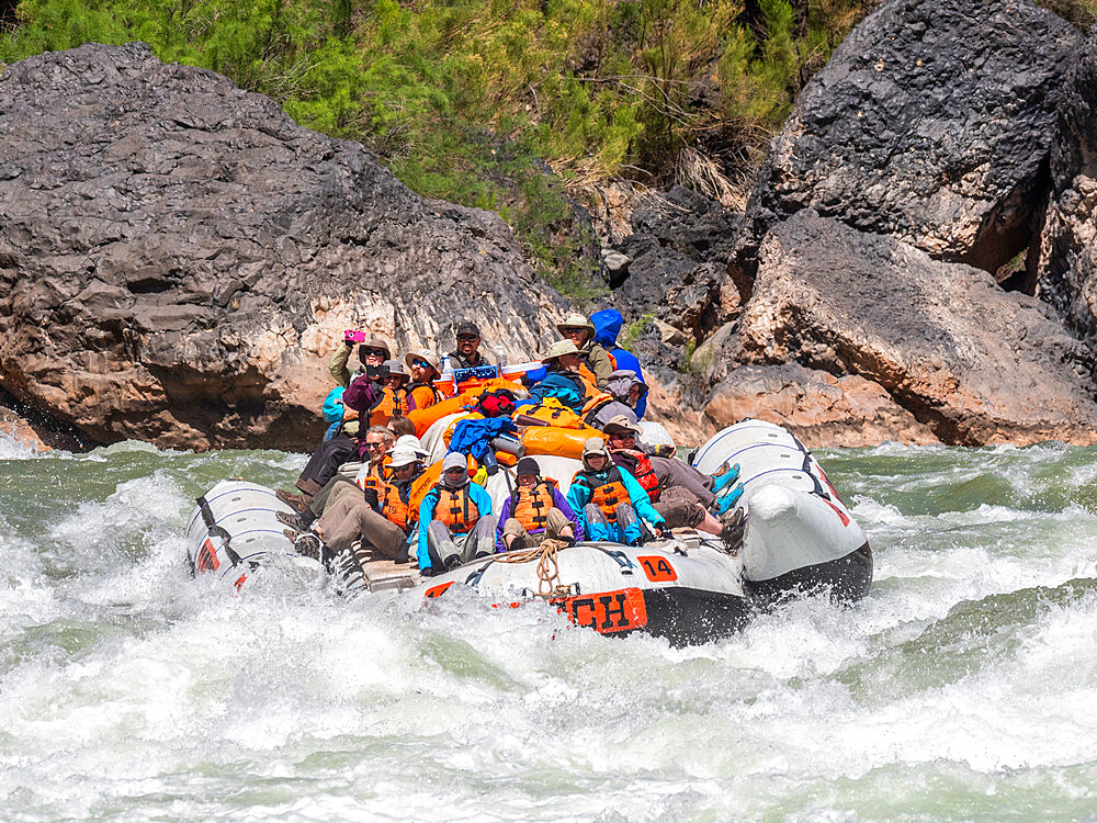 Commercial rafters run the Lava Falls Rapid, just before river mile 180, Grand Canyon National Park, Arizona, United States of America, North America