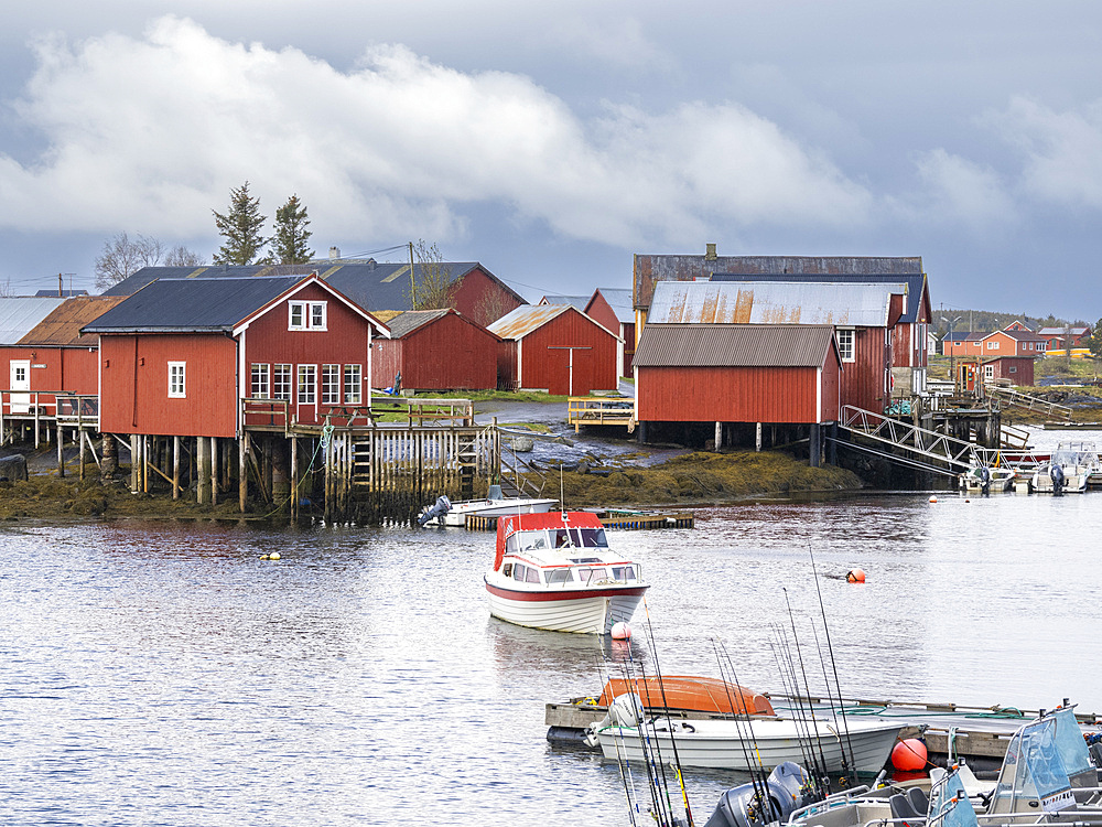 View of Nes harbor on Vega Island, one of about 6500 islands and skerries in the Vega Archipelago, Norway, Scandinavia, Europe