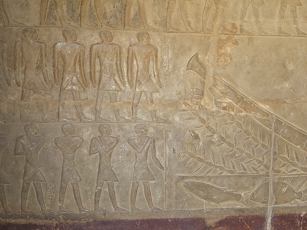 Relief from a tomb in Saqqara, part of the Memphite Necropolis, UNESCO World Heritage Site, Egypt, North Africa Africa