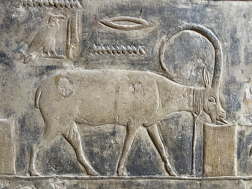 Relief from a tomb in Saqqara, part of the Memphite Necropolis, UNESCO World Heritage Site, Egypt, North Africa Africa