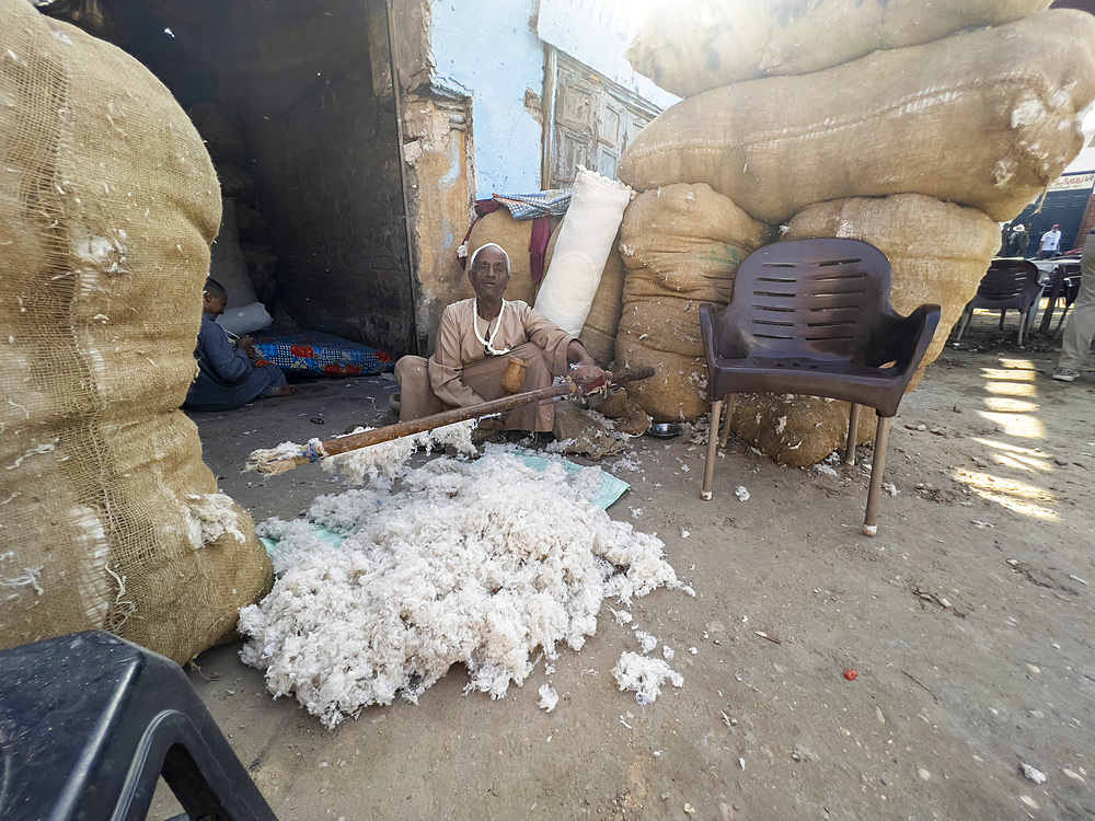 Egyptian man sorting fleece in the heart of the city of Dendera, Egypt, North Africa, Africa