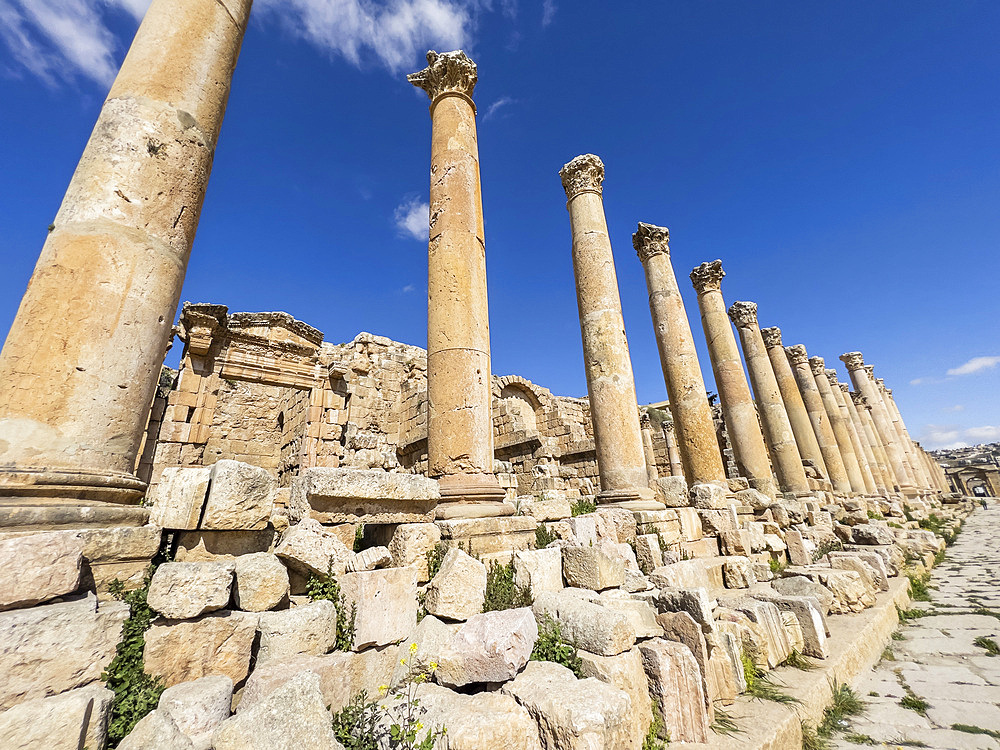 Columns in the ancient city of Jerash, believed to be founded in 331 BC by Alexander the Great, Jerash, Jordan, Middle East