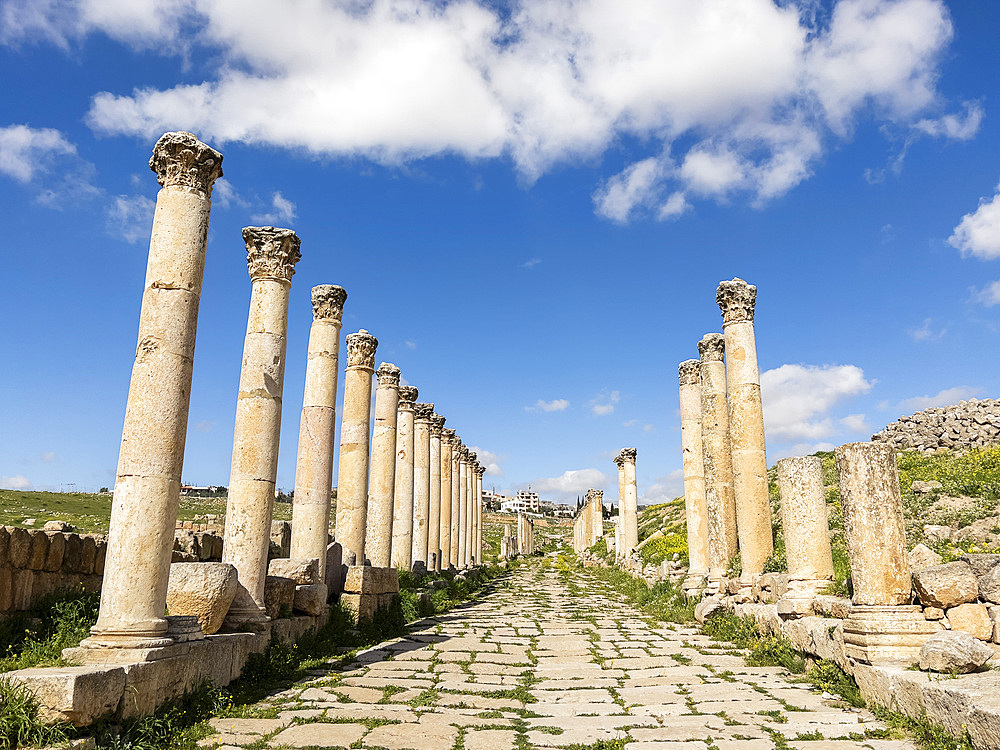 Columns in the ancient city of Jerash, believed to be founded in 331 BC by Alexander the Great, Jerash, Jordan, Middle East