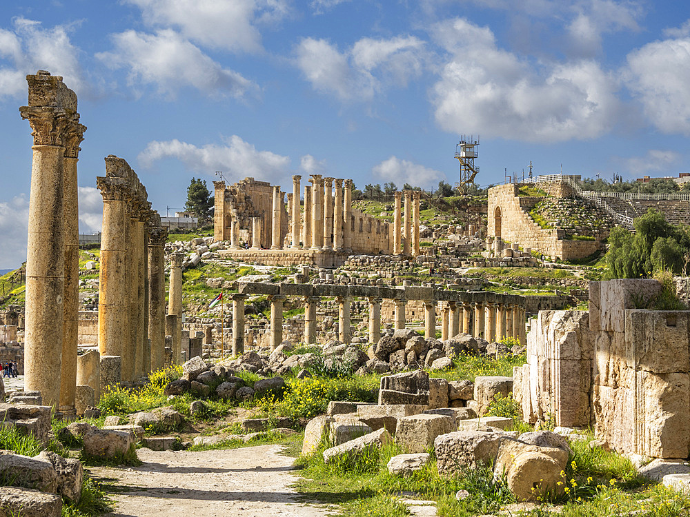 Columns in the Oval Plaza in the ancient city of Jerash, believed to be founded in 331 BC by Alexander the Great, Jerash, Jordan, Middle East