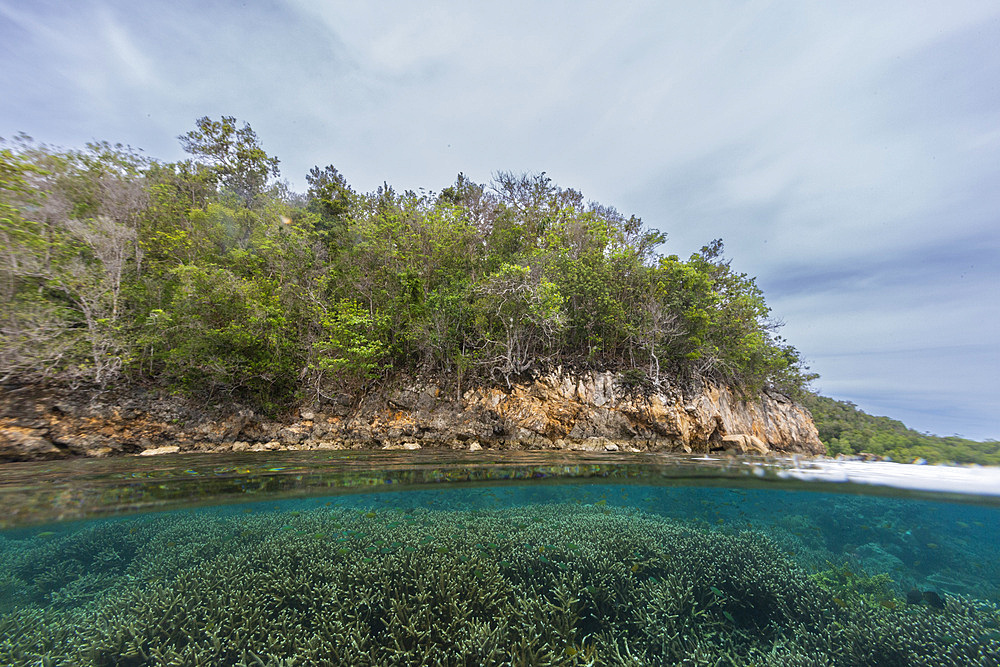 Above/below view of the shallow reefs off Bangka Island, off the northeastern tip of Sulawesi, Indonesia, Southeast Asia, Asia