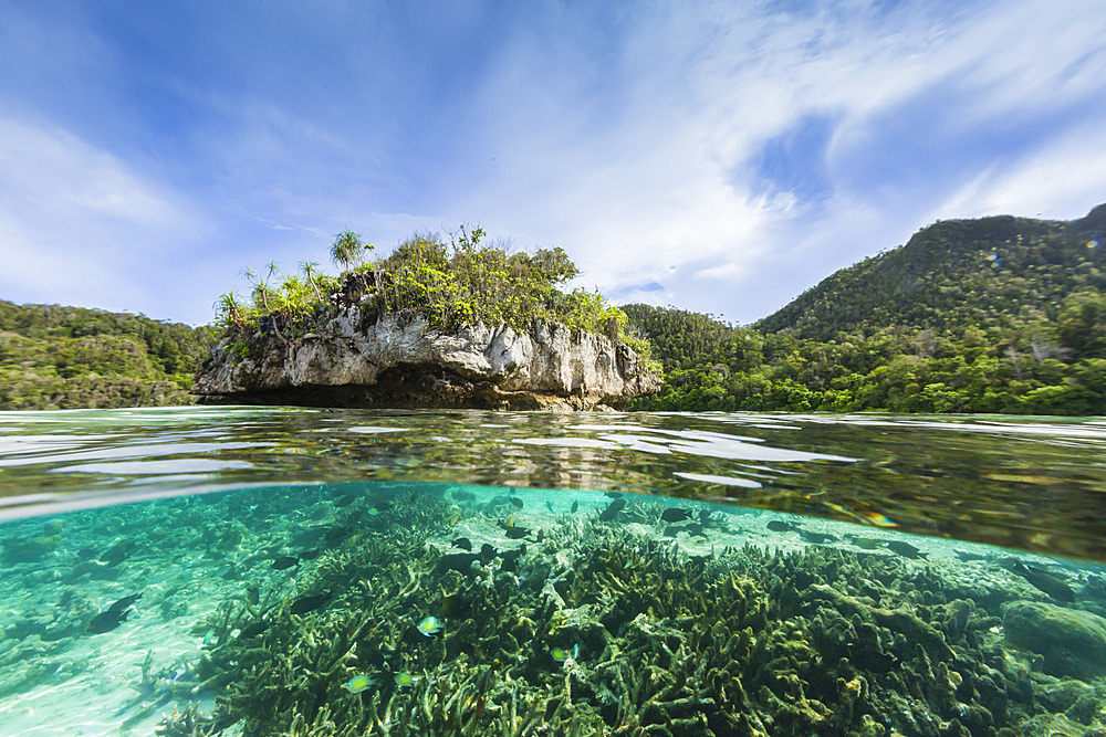 Above and below view of islets covered in vegetation from inside the natural protected harbor, Wayag Bay, Raja Ampat, Indonesia, Southeast Asia, Asia