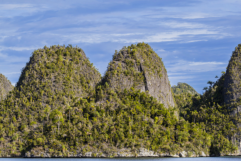 A view of islets covered in vegetation from inside the natural protected harbor in Wayag Bay, Raja Ampat, Indonesia, Southeast Asia, Asia