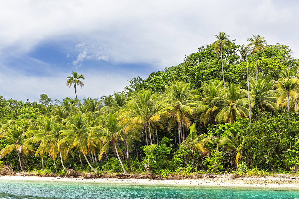 White sandy beaches and coconut trees on Batu Hatrim, Raja Ampat, Indonesia, Southeast Asia, Asia