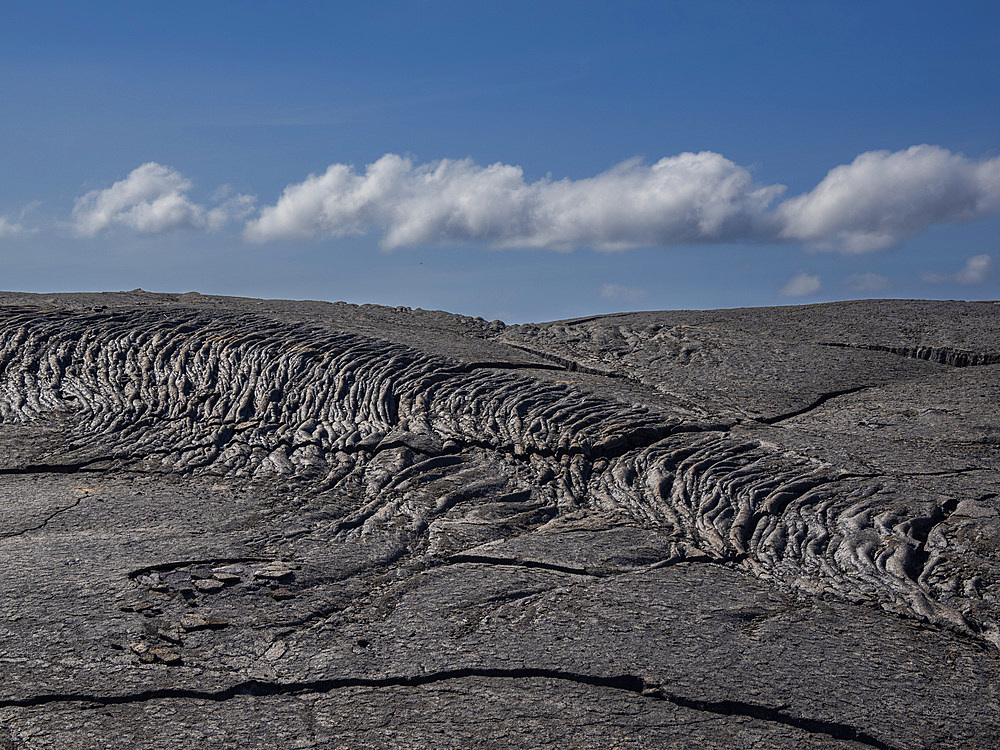 Pahoehoe lava on the youngest island in the Galapagos, Fernandina Island, Galapagos Islands, UNESCO World Heritage Site, Ecuador, South America