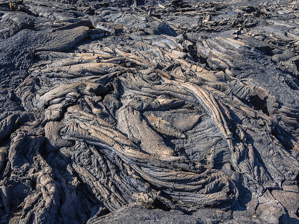 Pahoehoe lava on the youngest island in the Galapagos, Fernandina Island, Galapagos Islands, UNESCO World Heritage Site, Ecuador, South America