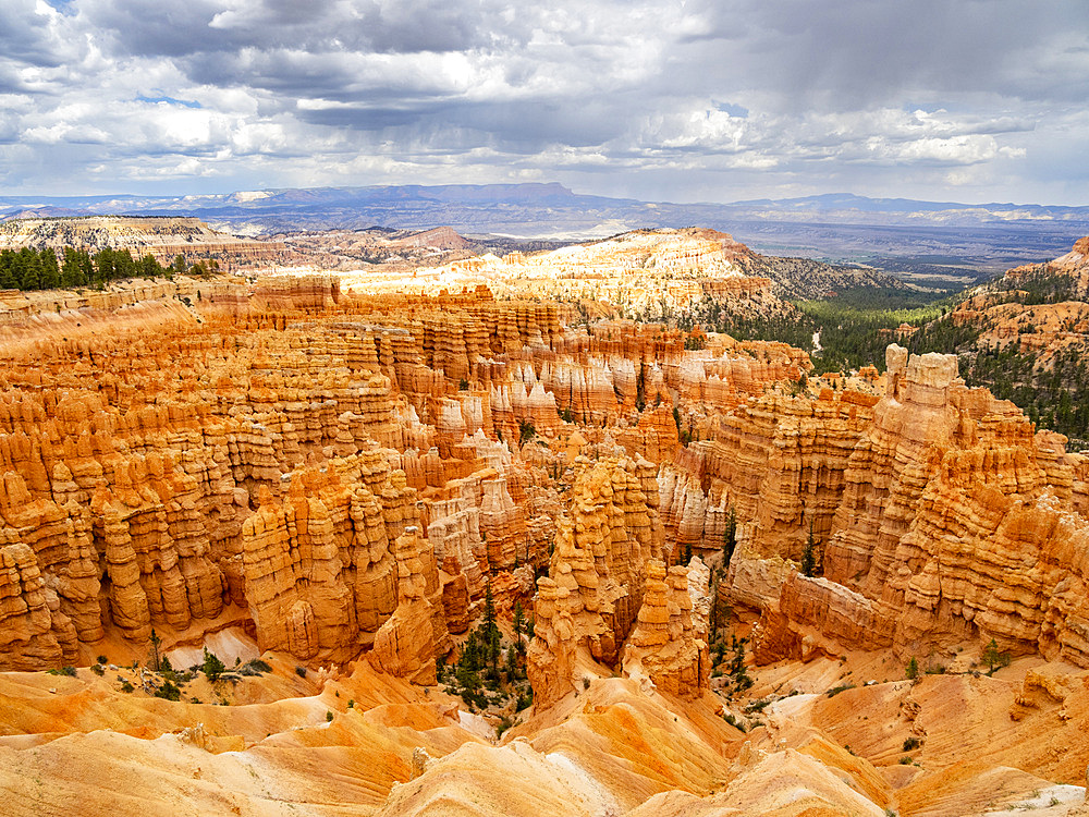 Red rock formations known as hoodoos in Bryce Canyon National Park, Utah, United States of America, North America