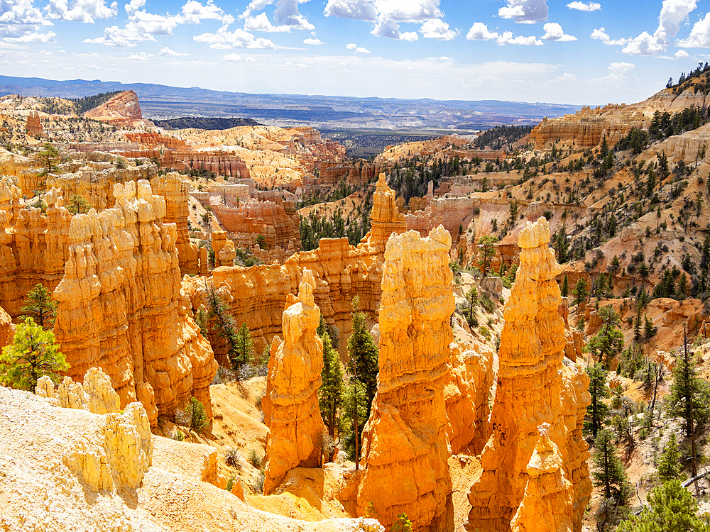 Red rock formations known as hoodoos in Bryce Canyon National Park, Utah, United States of America, North America