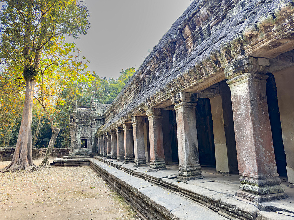 Ta Prohm Temple, a Mahayana Buddhist monastery built in the late 12th century for Khmer king Jayavarman VII, Angkor, UNESCO World Heritage Site, Cambodia, Indochina, Southeast Asia, Asia