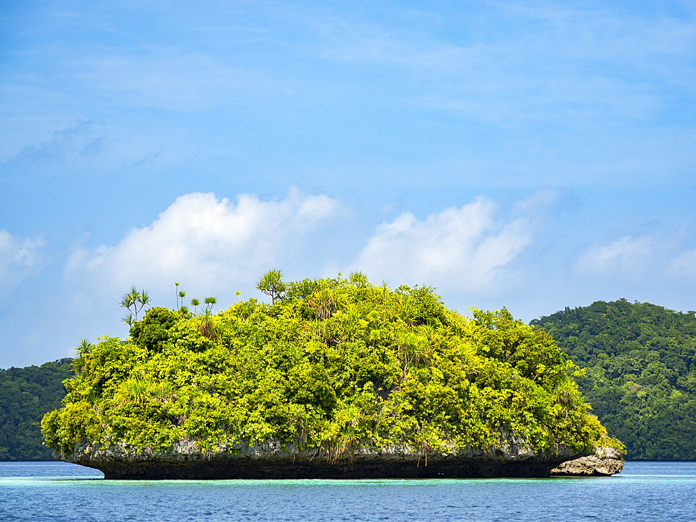 Example of the thick foliage and undercut islets, Palau, Micronesia, Pacific