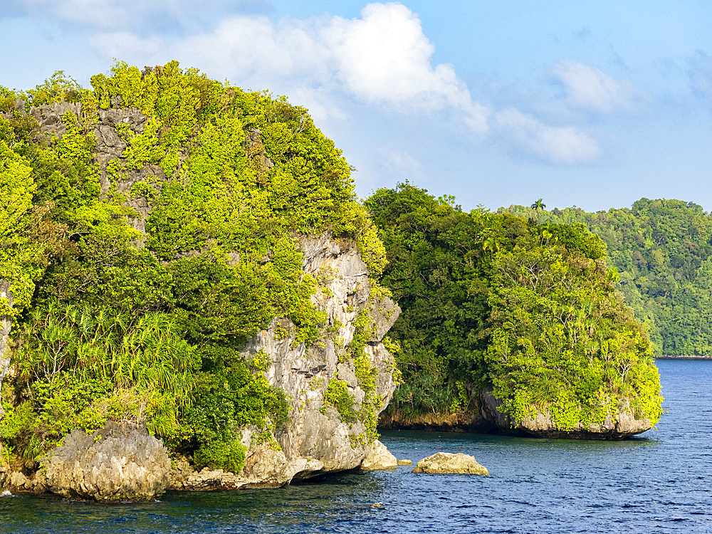 Example of the thick foliage and undercut islets, Palau, Micronesia, Pacific