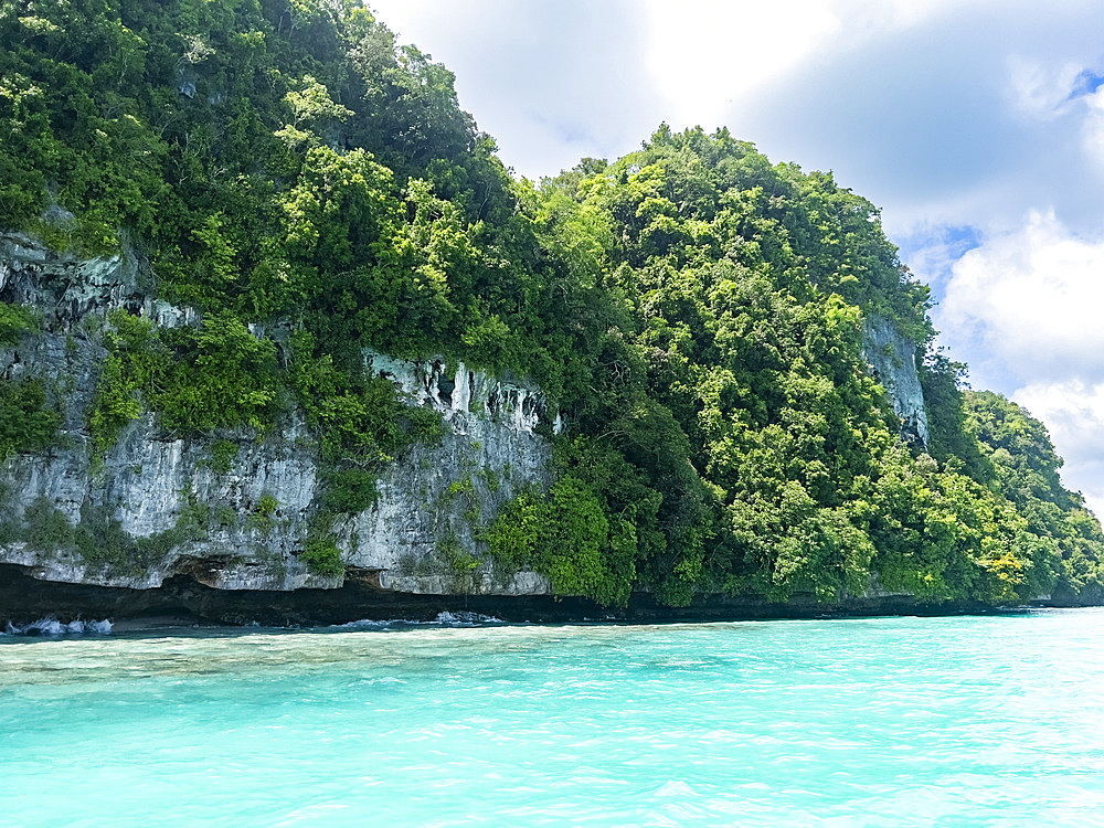 Example of the thick foliage and undercut islets, Palau, Micronesia, Pacific