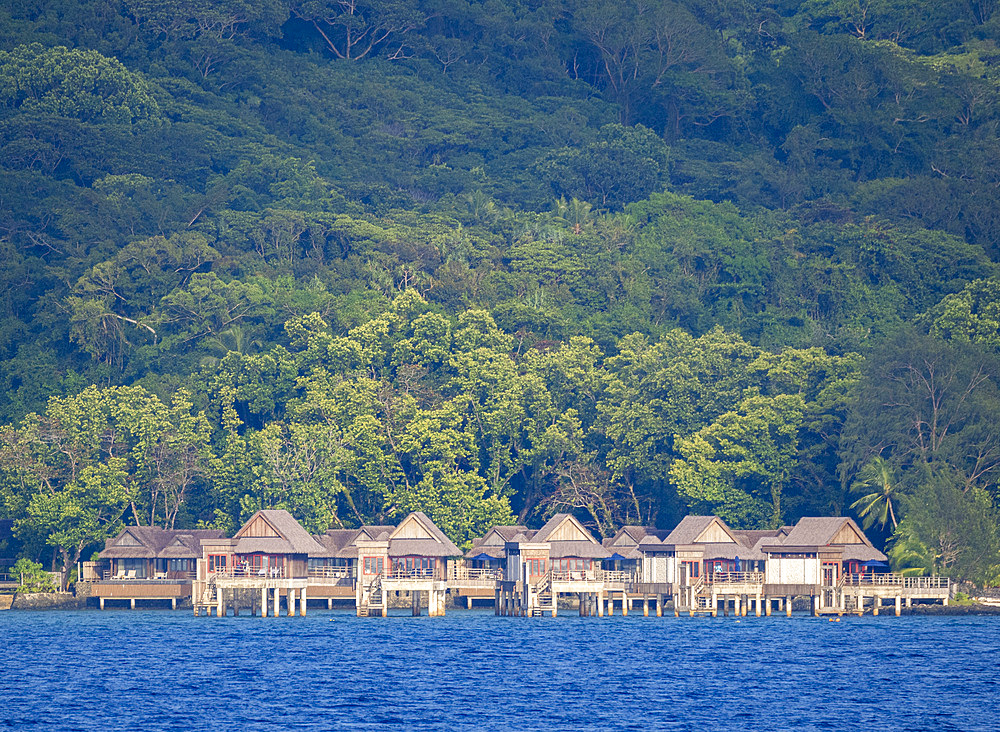 Example of the thick foliage near a tourist resort, Palau, Micronesia, Pacific