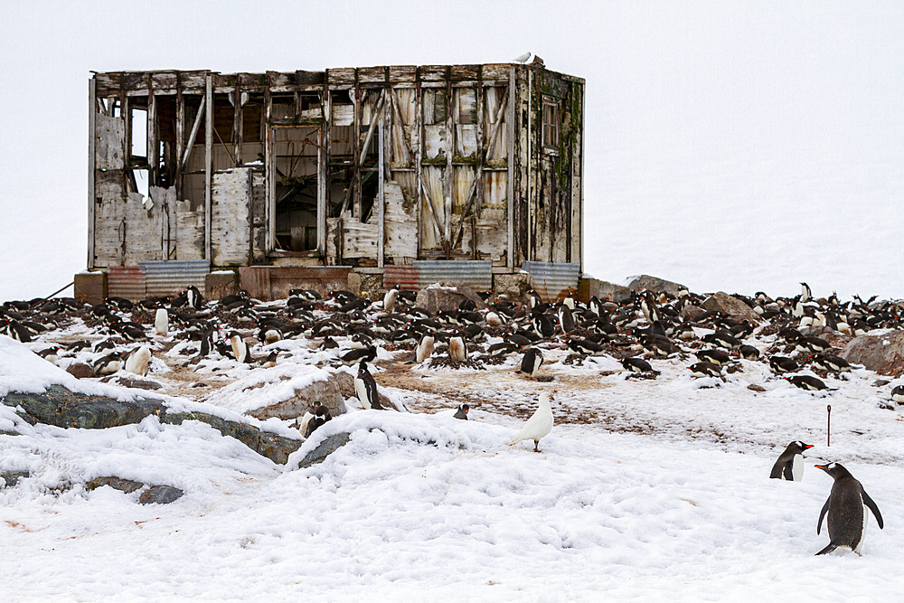 Views of the Chilean inactive research base Gonzalez Videla on Waterboat Point in Paradise Bay, Antarctica, Polar Regions