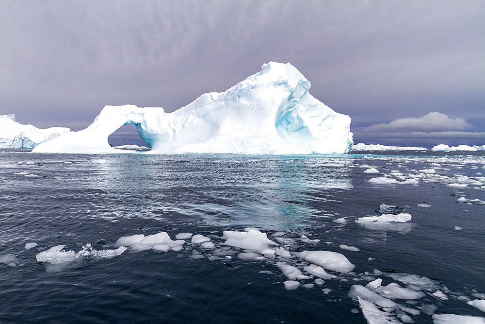 Icebergs near the Antarctic Peninsula during the summer months, Antarctica, Southern Ocean, Polar Regions