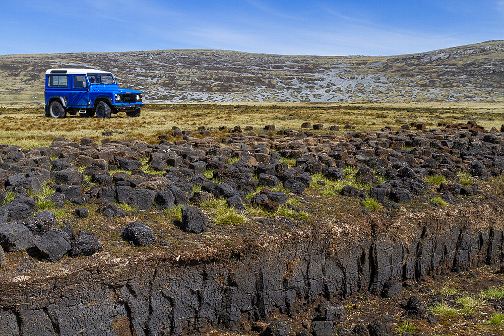 Cut peat drying for use as fuel at Long Island Farm outside Stanley in the Falkland Islands, South Atlantic Ocean, South America