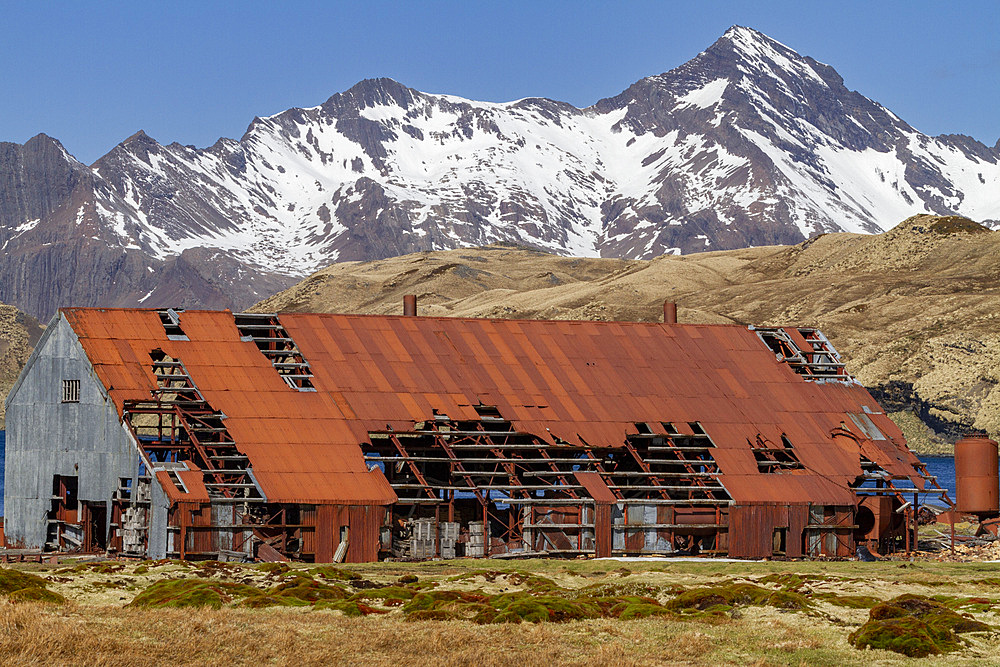 Views of the abandoned whaling station in Stromness Bay on South Georgia in the Southern Ocean, Polar Regions