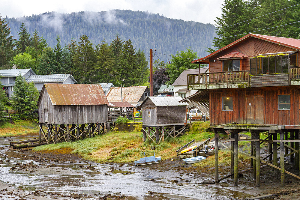 Views from the fishing town of Petersburg on Mitkof Island at low tide, Southeast Alaska, Pacific Ocean, United States of America, North America