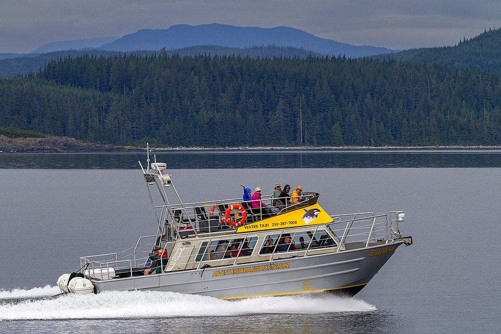 A view of the commercial whale watching vessel operating in Johnstone Strait, British Columbia, Pacific Ocean, Canada, North America