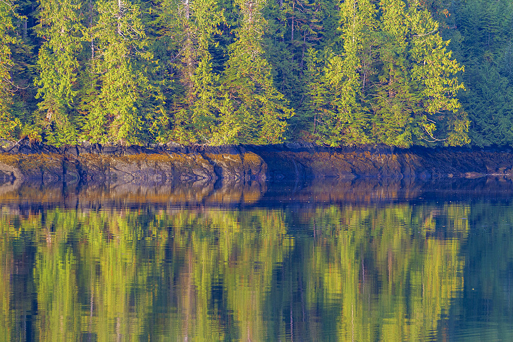 Reflections in the calm waters of Jackson Pass Provincial Marine Park, British Columbia, Canada, North America