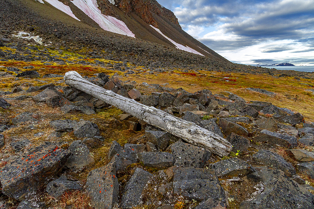 The remains of the camp where Fridtjof Nansen over-wintered with Hjalmar Johansen in 1895-96, Franz Josef Land, Russia, Arctic Ocean, Eurasia