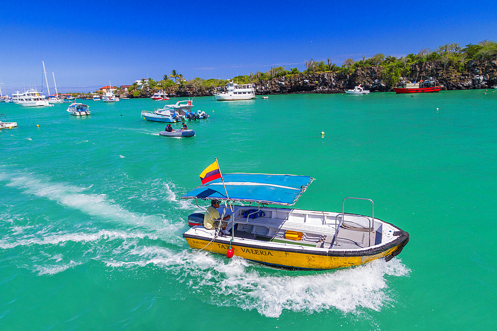 Scenic view of boats at the port town of Puerto Ayora, Santa Cruz Island, Galapagos Island Archipelago, UNESCO World Heritage Site, Ecuador, South America