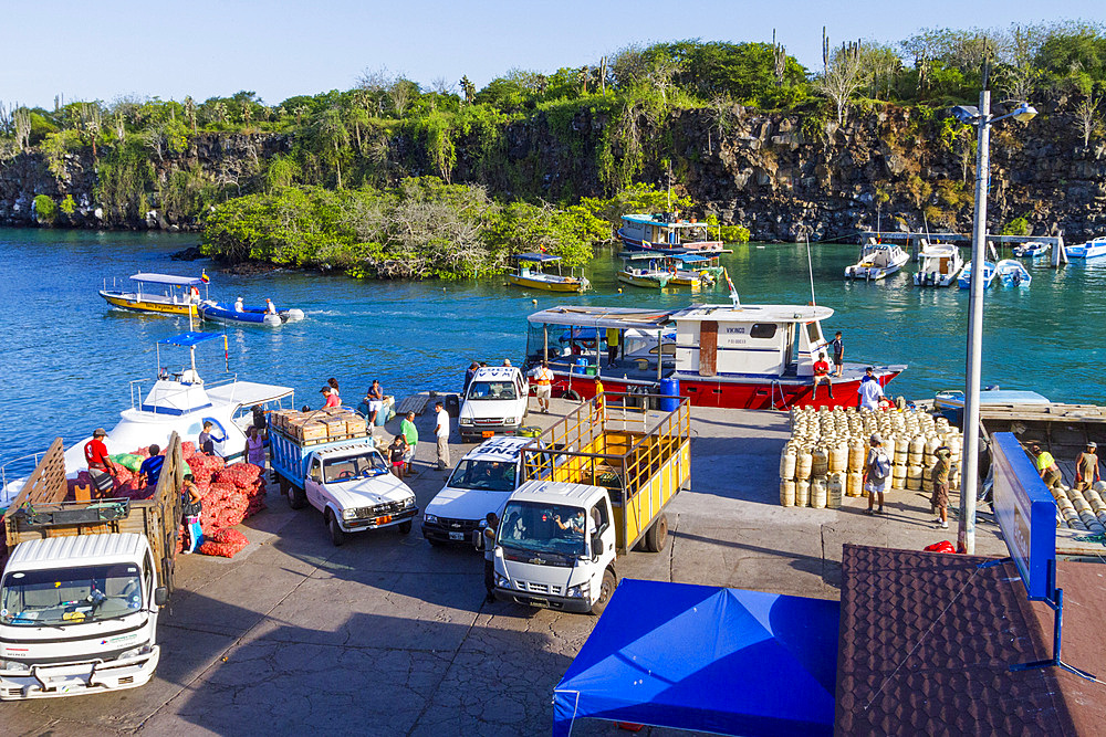 Scenic view of the port town of Puerto Ayora, Santa Cruz Island, Galapagos Island Archipelago, UNESCO World Heritage Site, Ecuador, South America