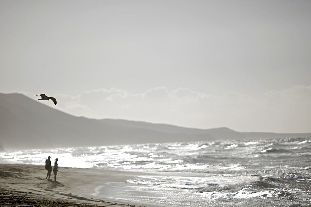 Couple at beach, Fuerteventura, Spain