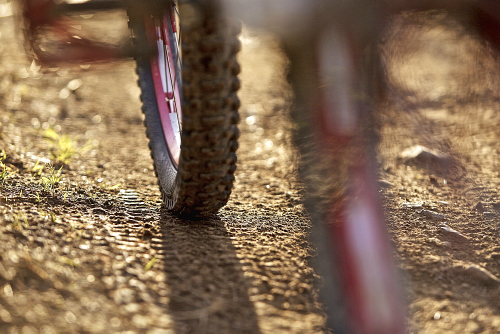 Downhill mountain bike off-roading, Morzine, Haute-Savoie, France