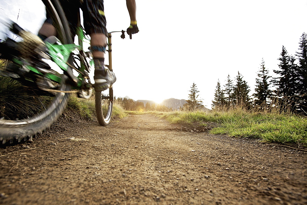 Downhill mountain biker off-roading, Morzine, Haute-Savoie, France