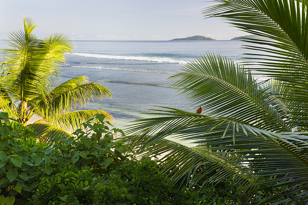 Beach, Anse Patates, La Digue Island, Seychelles