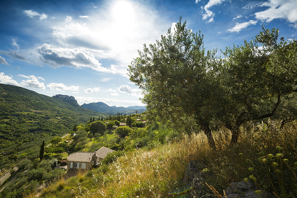 La Roche sur le Bois, near Buis-les-Baronnies, Departement Drome, Region Rhones-Alpes, Provence, France