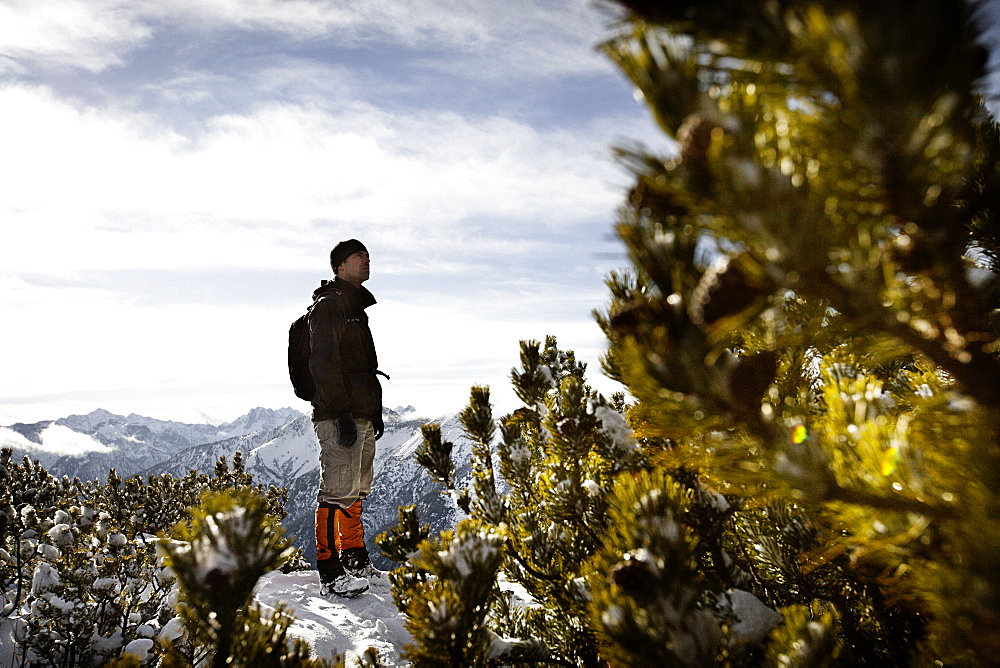 Hiker standing between snow-covered mountain pines, descent from Unnutz Mountain (2078 m), Rofan Mountains, Tyrol, Austria