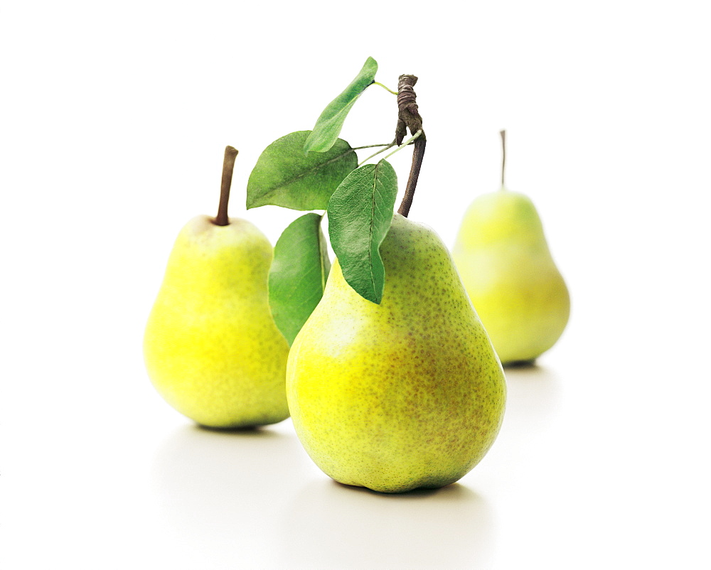 pears with leaves, Fruit, Food