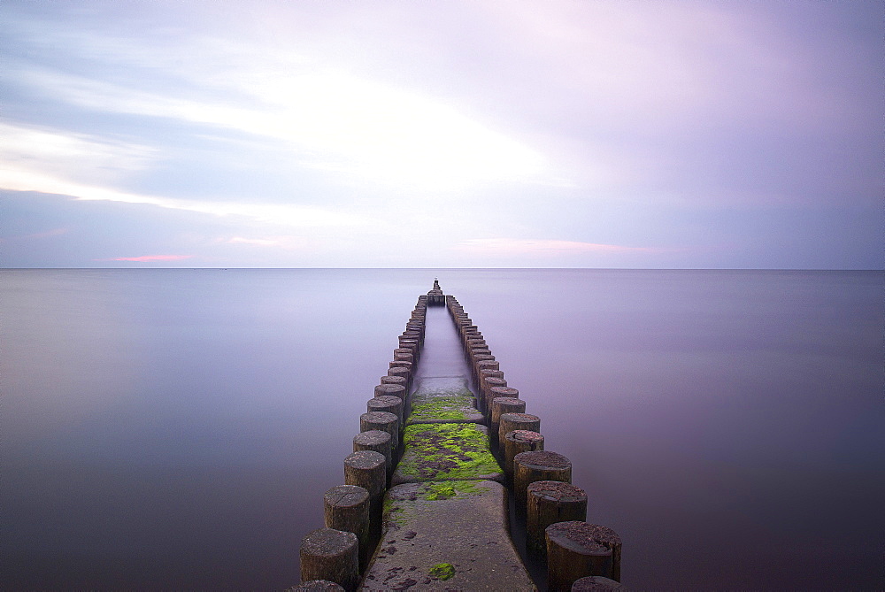 Groynes at the Baltic sea in the evening atmosphere, Dierhagen, Mecklenburg Vorpommern, Germany