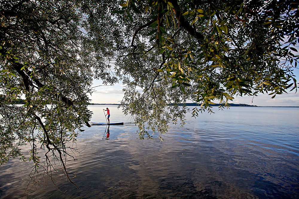 Woman stand up paddling on lake Chiemsee, Chiemgau, Bavaria, Germany