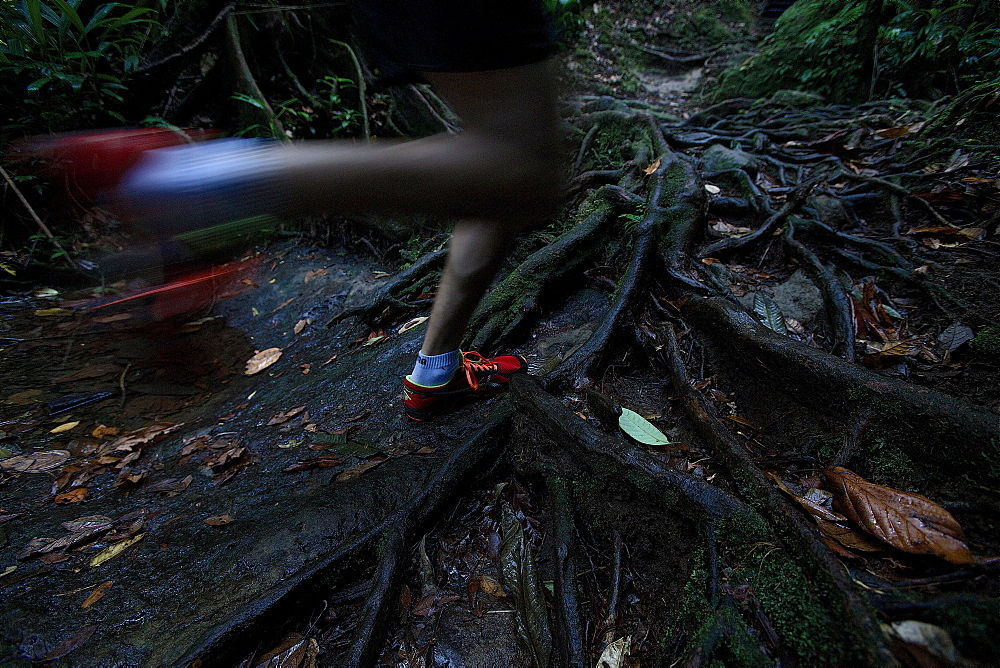 Young man running through a jungle, Dominica, Lesser Antilles, Caribbean