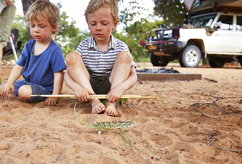 Two boys looking at a chameleon, Khaudum, Namibia