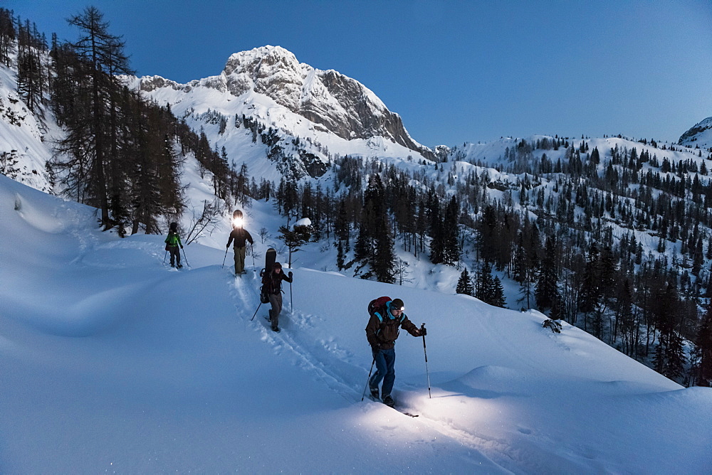 Backcountry skiers with headlamps at dawn, Tennengebirge mountains, Salzburg, Austria