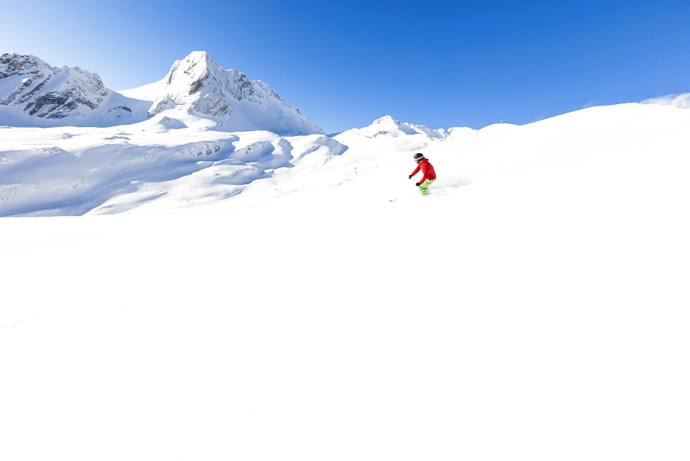 skier in deep powder snow, Zugspitze, Upper Bavaria, Germany