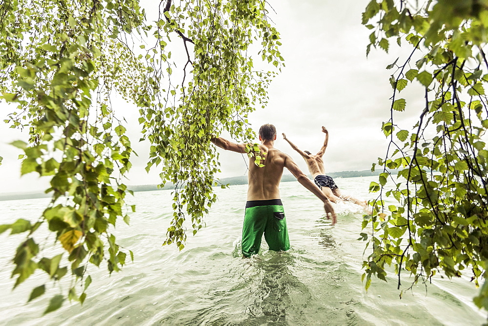 two young men going swimming in Lake Starnberg near a birch tree, Berg, Upper Bavaria, Germany